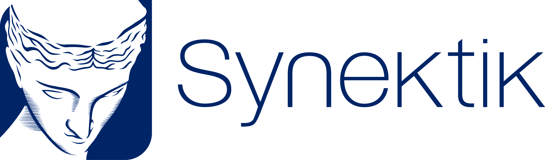 logo syntetik