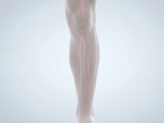 Adobestock_1901434615