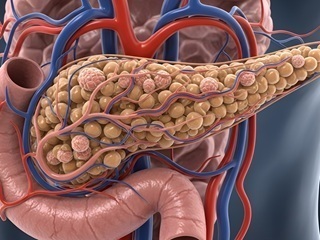 Stluszczenie_watroby