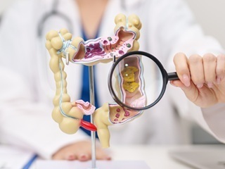 Ibd