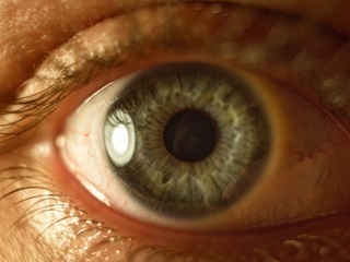 Adobestock_825417488